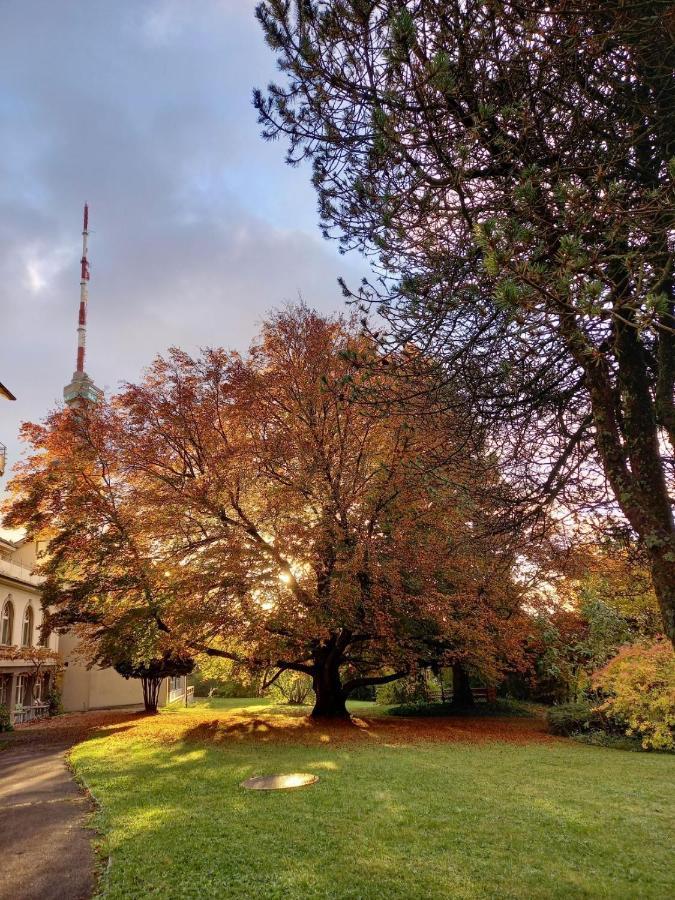 Chrischona Berg Hotel Bettingen Luaran gambar